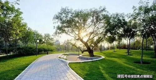 成都公园舆论爆料案例最新,一场网络热议背后的真相与反思  第2张